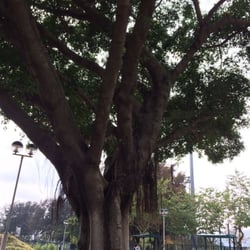 九龍仔公園