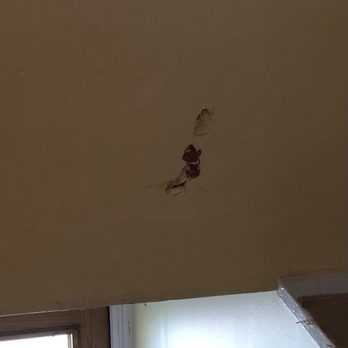 Space Moving - More of the damage they caused - Movers Near Me - Waltham, Massachusetts
