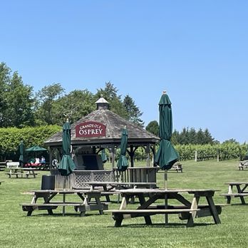 Ospreys Dominion Vineyards - the great lawn - Wineries Near Me - Peconic, New York Ospreys Dominion Vineyards - the great lawn - Wineries Near Me - Peconic, New York