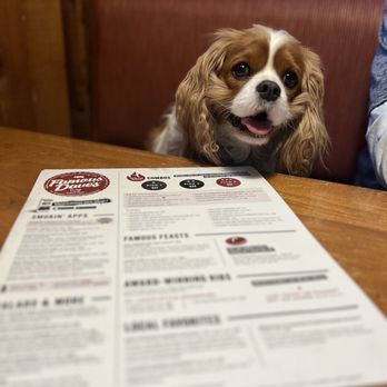 Famous Dave's Bar-B-Que - Our pup was welcome and so happy - Barbeque Near Me - Reno, Nevada