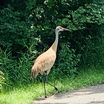 Sibley State Park - Parks Near Me - New London, Minnesota