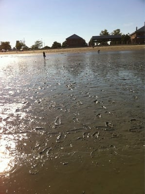 Carson Beach by null