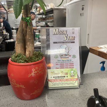 Moon Star Asian Cuisine - a potted plant and menu - Asian Fusion Near Me - Ansonia, Connecticut Moon Star Asian Cuisine - a potted plant and menu - Asian Fusion Near Me - Ansonia, Connecticut