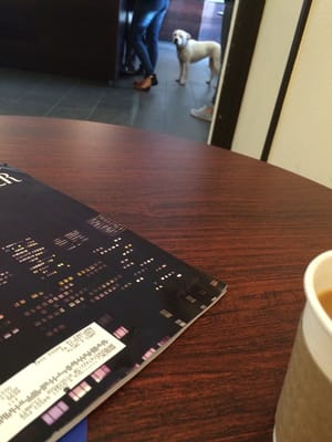 Kilovolt Coffee by null