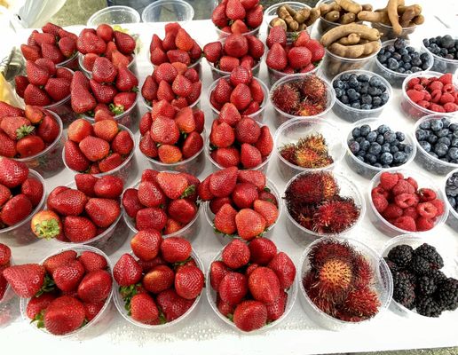 The Green Market at Lincoln Road by null