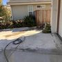 Luxury Garden