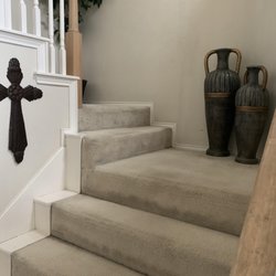 Protex Carpet & Floor Care
