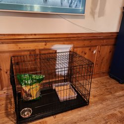 Chesapeake Humane Society - Kennel setup with litter IN box per "requirements."