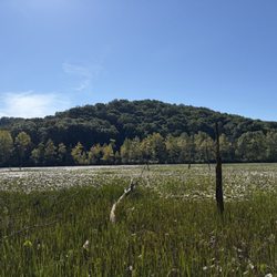 Zaleski State Forest
