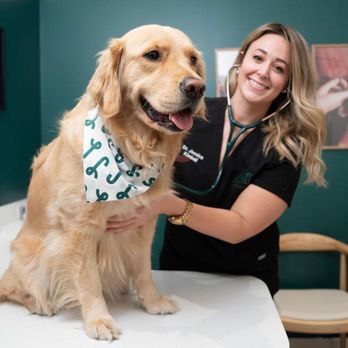 Juno Veterinary - Photo - Veterinarians Near Me - Toronto, Ontario