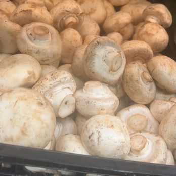 Marina Supermarket - There always much room for mushroom - Grocery Near Me - San Francisco, California Marina Supermarket - There always much room for mushroom - Grocery Near Me - San Francisco, California
