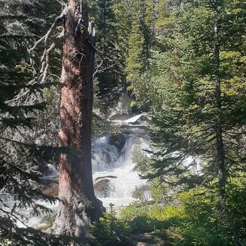 Buchanan Pass Trail - Hiking Near Me Buchanan Pass Trail - Hiking Near Me