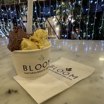 Bloom Gelato - CIOCCOLATO & CREMA - Ice Cream & Frozen Yogurt Near Me - Modena, Missouri