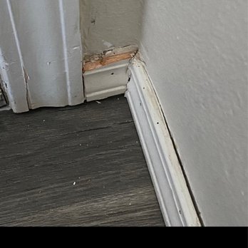 Great Floors - the corner of a room with peeling paint - Flooring Near Me - Puyallup, Washington