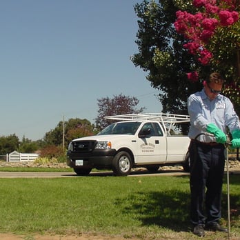 Jones Bros Pest Control - We offer Injection Treatments for trees, shrubs, and roses... Call our office today for a free quote - Pest Control Near Me - Rancho Cordova, California Jones Bros Pest Control - We offer Injection Treatments for trees, shrubs, and roses... Call our office today for a free quote - Pest Control Near Me - Rancho Cordova, California