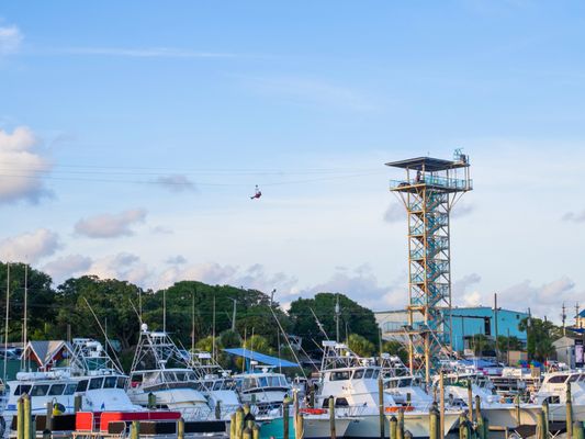 HarborWalk Adventures by null