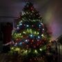 Photo of Lupton Nursery & Christmas Tree Farm