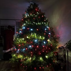 Lupton Nursery & Christmas Tree Farm - Christmas Tree