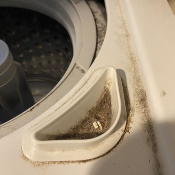 South Cal Professional Cleaning - This is the washer BEFORE cleaning. - Home Cleaning Near Me South Cal Professional Cleaning - This is the washer BEFORE cleaning. - Home Cleaning Near Me