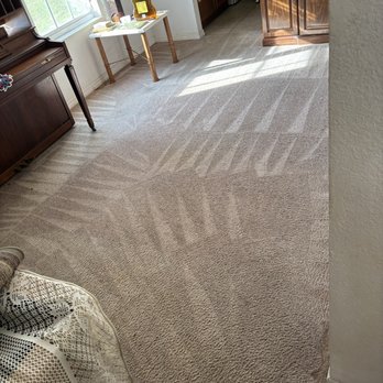 Enhance Carpet Cleaning - Cleaned carpet - Carpet Cleaning Near Me Enhance Carpet Cleaning - Cleaned carpet - Carpet Cleaning Near Me