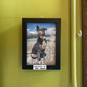 Bacchus Cafe  - These are our people. - Cafes Near Me - Golden, British Columbia