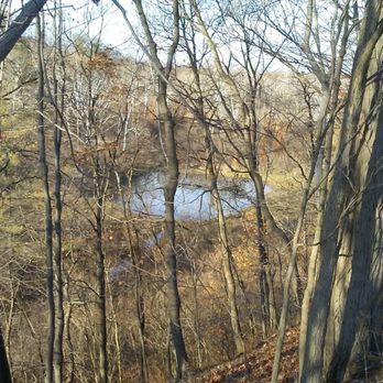 Wingfield Pines - A view of some of the property and one of the ponds . . . - Parks Near Me - Pittsburgh, Pennsylvania Wingfield Pines - A view of some of the property and one of the ponds . . . - Parks Near Me - Pittsburgh, Pennsylvania