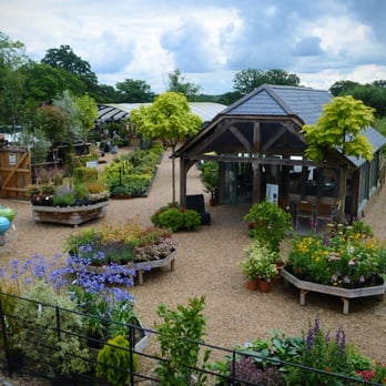 Cedar Nursery - Nurseries & Gardening Near Me - Cobham, SRY