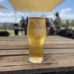 Dancing Grain Farm Brewery - It's a Pilsner!!