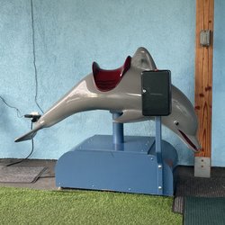 Smiling Sea Pediatric Dentistry & Orthodontics - Mechanical dolphins ride