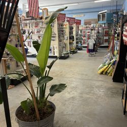 Village Hardware