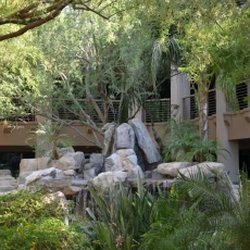 Scottsdale Atrium Building Courtyard
