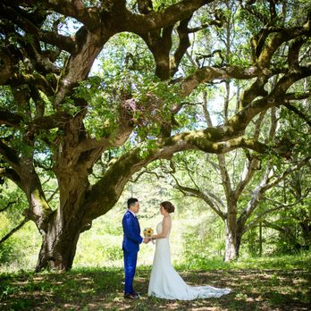 OVY Camp & Event Center - beautiful live oak tree - Venues & Event Spaces Near Me - San Gregorio, California
