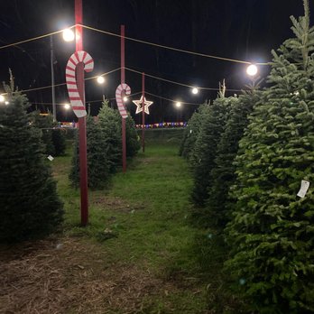 Cozzolino's Christmas Trees - Tree Lot - Christmas Trees Near Me - Half Moon Bay, California Cozzolino's Christmas Trees - Tree Lot - Christmas Trees Near Me - Half Moon Bay, California