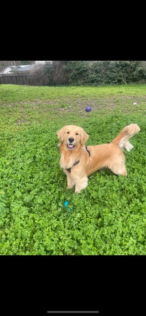 Fetch! Pet Care Eastbay