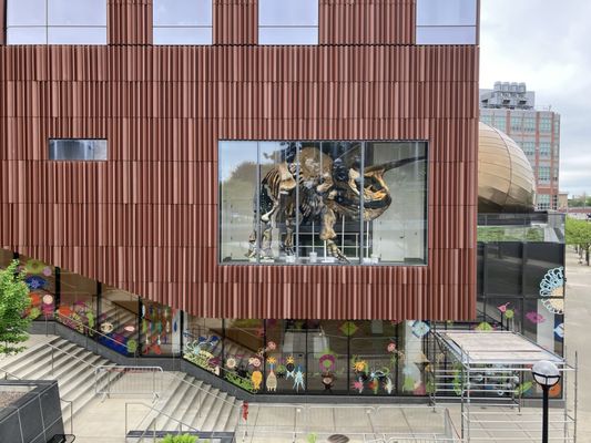 University of Michigan Museum of Natural History by null