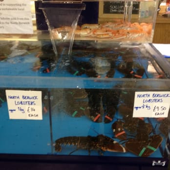 Archerfield Links - Fresh local lobsters at great prices - Golf Near Me - North Berwick, ELN