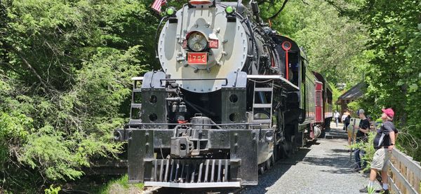 Great Smoky Mountains Railroad by null
