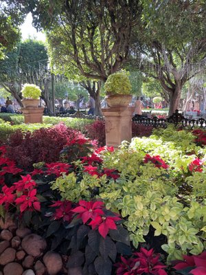 Jardín Allende by null