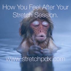 Stretch PDX
