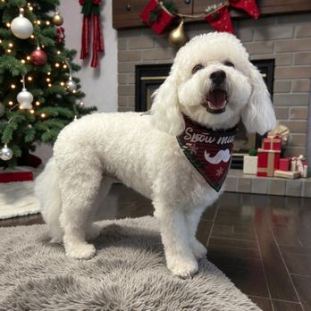 K9 Clips Grooming & Boarding - Pet Groomers Near Me - Monterey, Tennessee K9 Clips Grooming & Boarding - Pet Groomers Near Me - Monterey, Tennessee