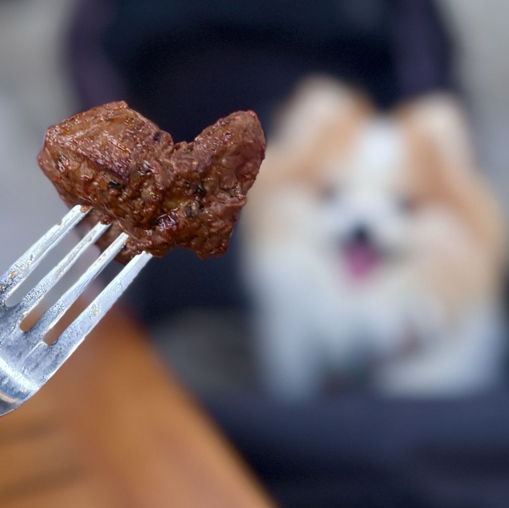 Food from Meze Kebab