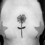 Photo of Dermafilia