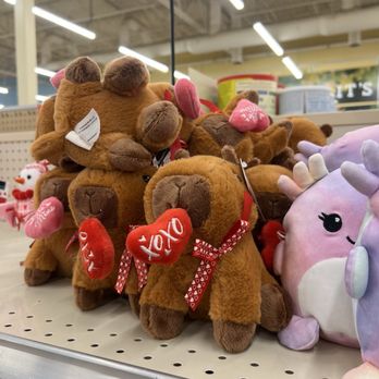 Hannaford Supermarkets & Pharmacies - Valentines Day Capybara Plush - Grocery Near Me - Westbrook, Maine Hannaford Supermarkets & Pharmacies - Valentines Day Capybara Plush - Grocery Near Me - Westbrook, Maine