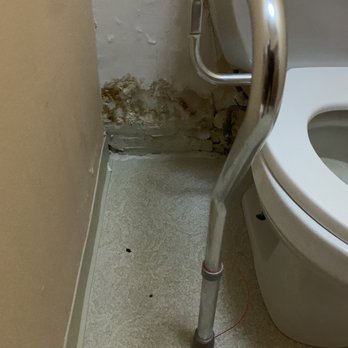 Symphony of Morgan Park - The back of the toilet. - Home Health Care Near Me - Chicago, Illinois Symphony of Morgan Park - The back of the toilet. - Home Health Care Near Me - Chicago, Illinois