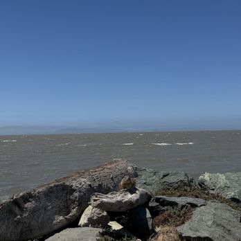 Hayward Regional Shoreline - Hiking Near Me - Hayward, California