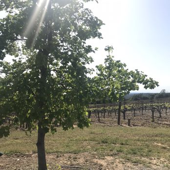 Skinner Vineyards - Wineries Near Me - Somerset, California Skinner Vineyards - Wineries Near Me - Somerset, California
