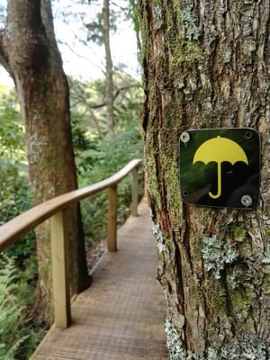 Brick Bay Wines & Sculpture Trail by null