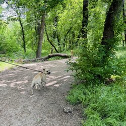 Woodland Trail