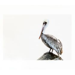 Brightmark Photo - Archival-grade giclée prints for wall art connoisseurs