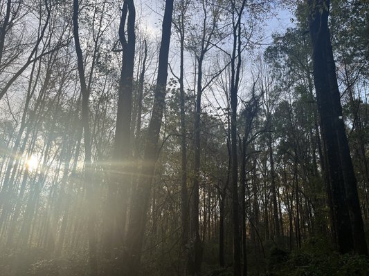 Doll's Head Trail by null